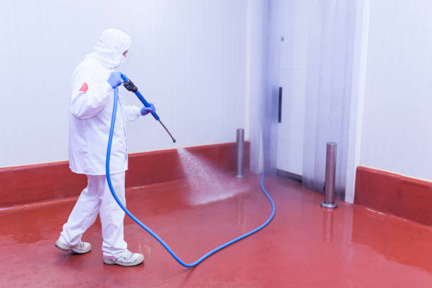 Professional Pressure Washing Services in Ilwaco, WA